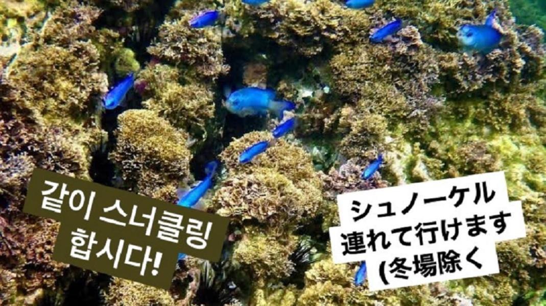 Plage Yuigahama Kamakura Dış mekan fotoğraf