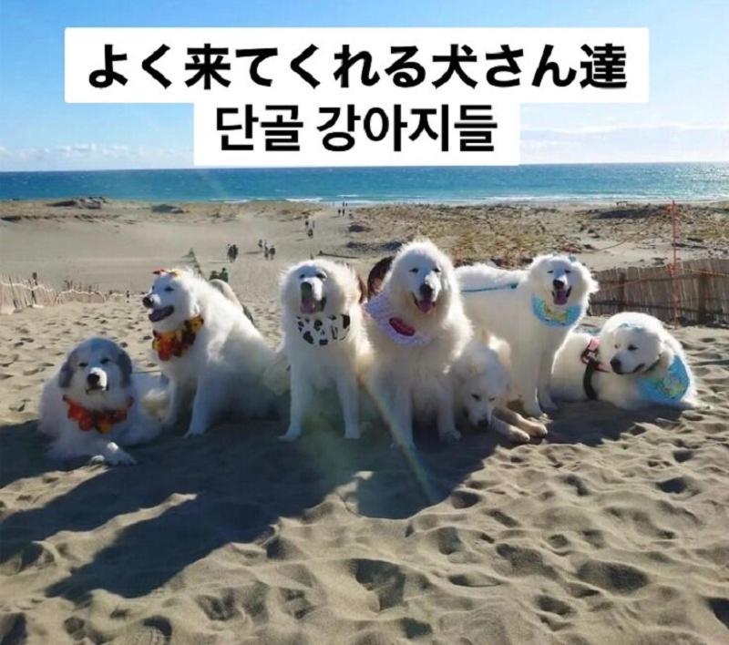 Plage Yuigahama Kamakura Dış mekan fotoğraf