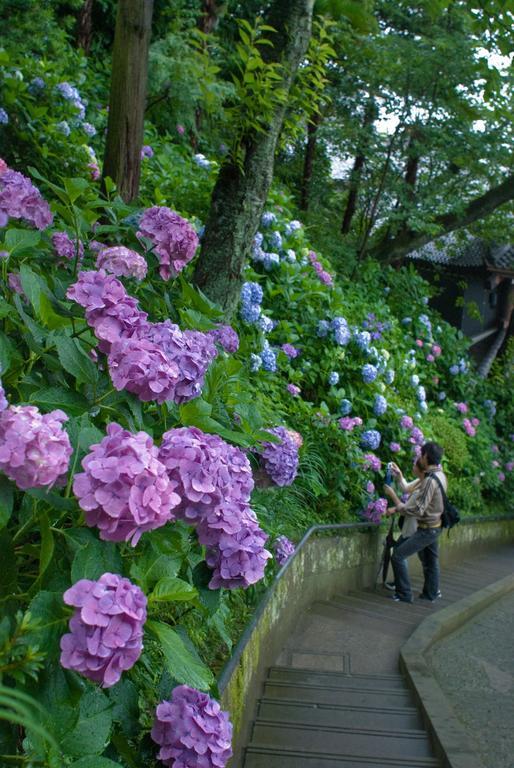 Plage Yuigahama Kamakura Dış mekan fotoğraf