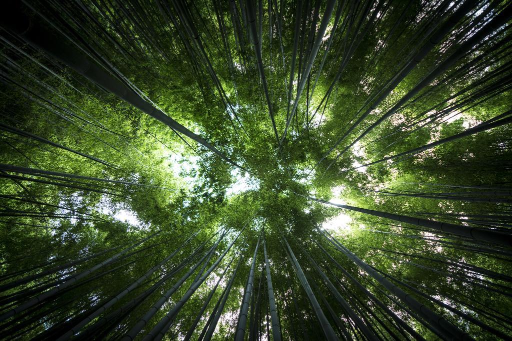 Plage Yuigahama Kamakura Dış mekan fotoğraf